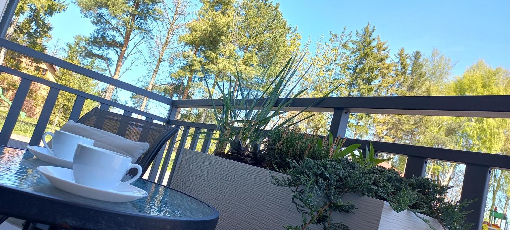 Apartament Koszalka ウェバ エクステリア 写真